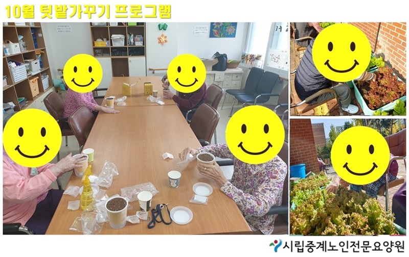 10월 텃밭가꾸기.jpg