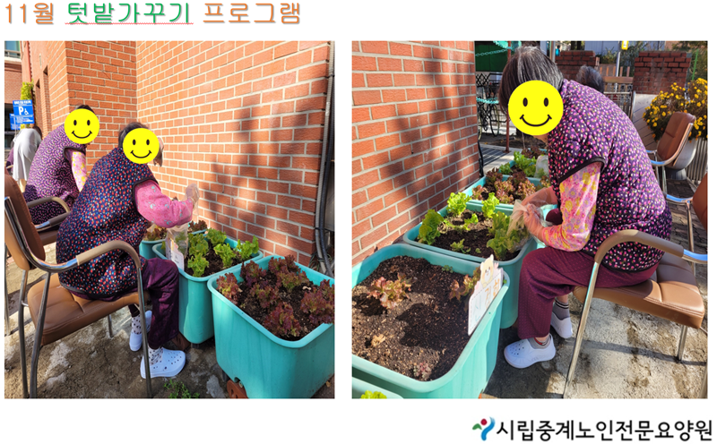 11월 텃밭가꾸기 프로그램.PNG