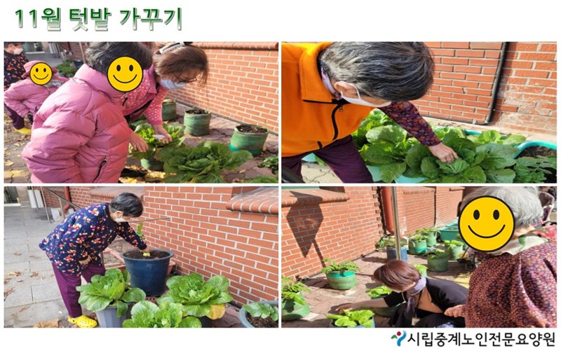 11월-텃밭가꾸기.JPG