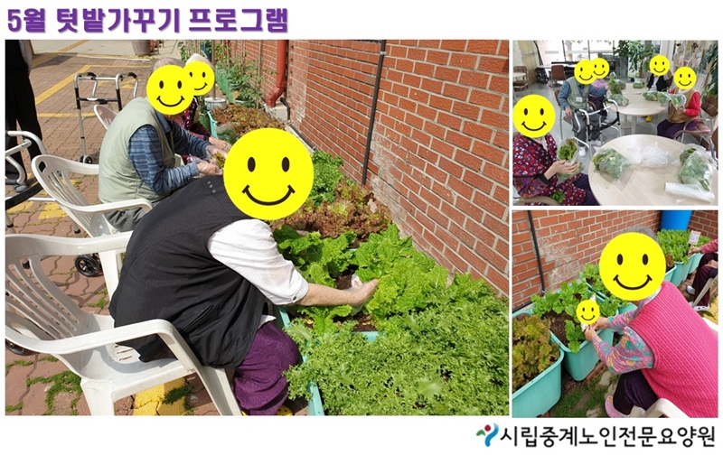 5월 텃밭가꾸기.jpg