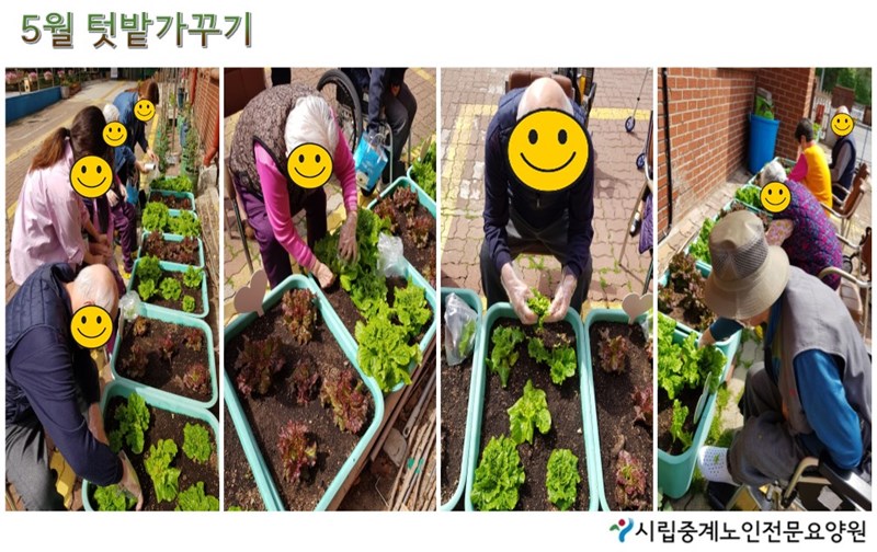 5월-텃밭가꾸기.JPG