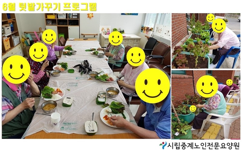 6월 텃밭가꾸기.jpg