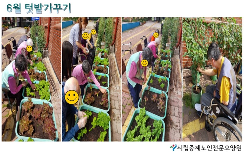 6월-텃밭가꾸기.JPG
